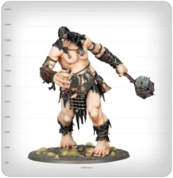 Age of Sigmar : Bagarreurs de Béhémat