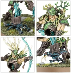 Age of Sigmar : Bataillon Sylvaneth - Sylve de Fortesouche