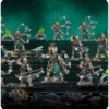 Age of Sigmar : Ossiarch Bonereapers - Triax Morteks