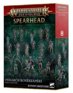 Age of Sigmar : Ossiarch Bonereapers - Avant-garde Kavalos