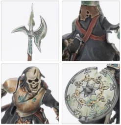 Age of Sigmar : Soulblight Gravelords- Squelettes Raclemorts