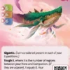 Altered - Starter Deck Lyra - Beyond The Gates