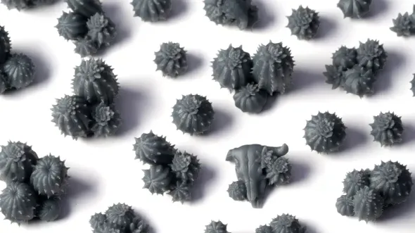 Basing Bits - Barrel Cacti