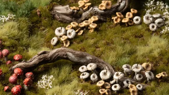 Basing Bits - Forest Mushrooms