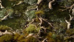 Basing Bits - Gnarled Branches