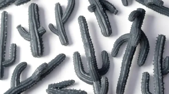 Basing Bits - Sagaro Cacti