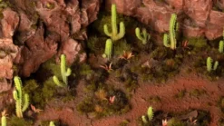 Basing Bits - Sagaro Cacti