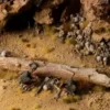 Basing Bits - Skulls & Bones