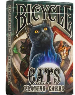 Bicycle Cats