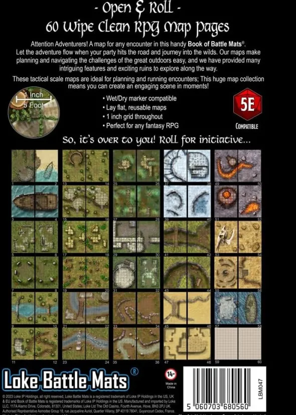 Big Book of Battle Mats - Wrecks & Ruins