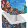 Boulder 100+ Coral Places - Seablue Hush