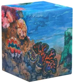 Boulder 100+ Coral Places - Seablue Hush