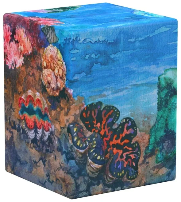 Boulder 100+ Coral Places - Seablue Hush