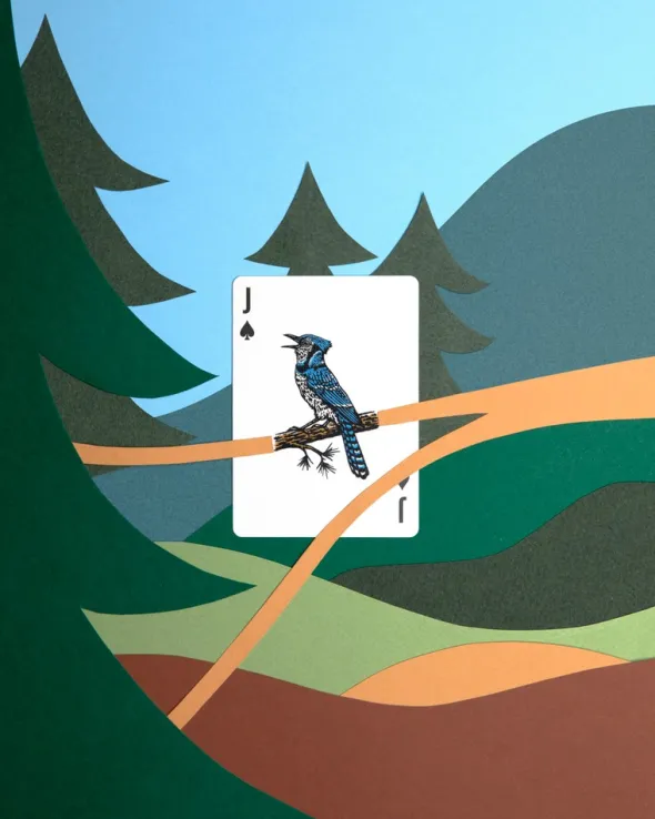 Cartes à jouer Art of Play - Smokey Bear