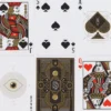 Cartes à jouer Theory11 - Neil Patrick Harris