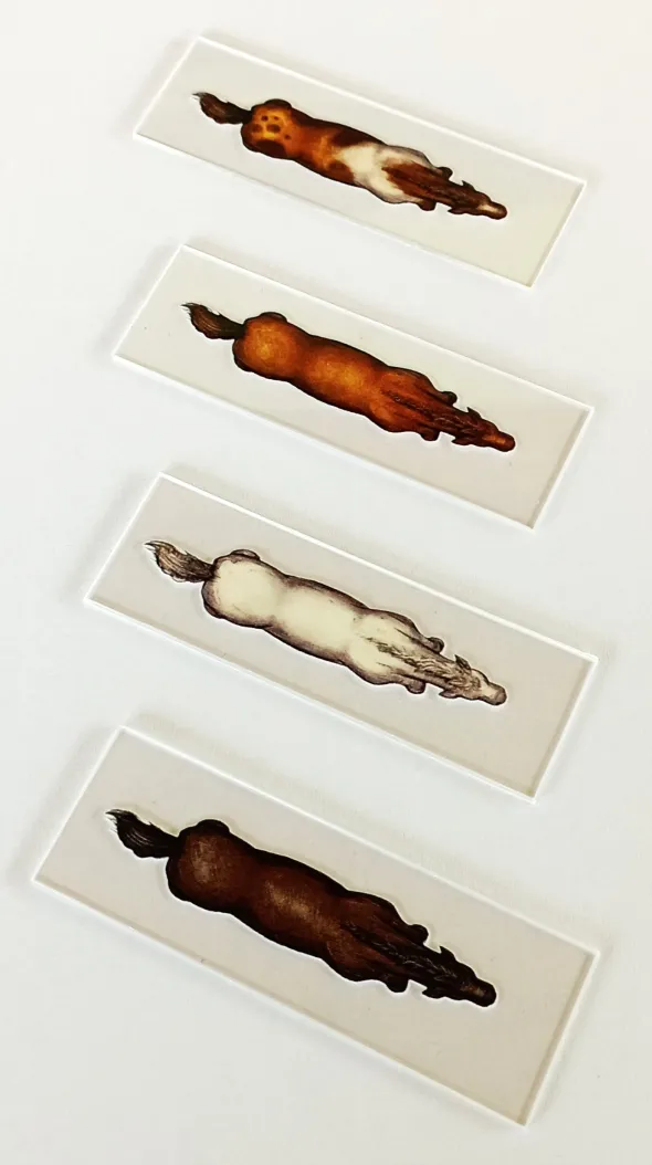 Chariots et montures - Pack de silhouettes 2D