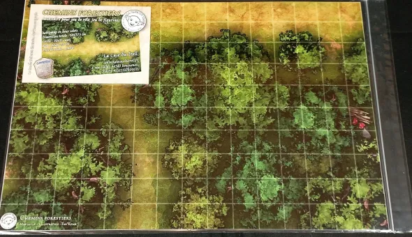 Chemins Forestiers - Battlemap