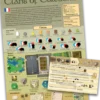 Clans of Caledonia: Pack de Langues