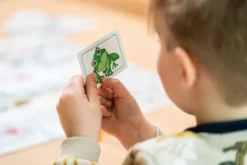 Concept Kids Animaux