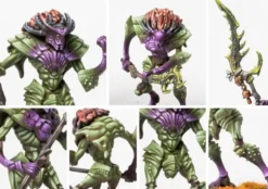 Conquest - Weaver Courts - Morrowen