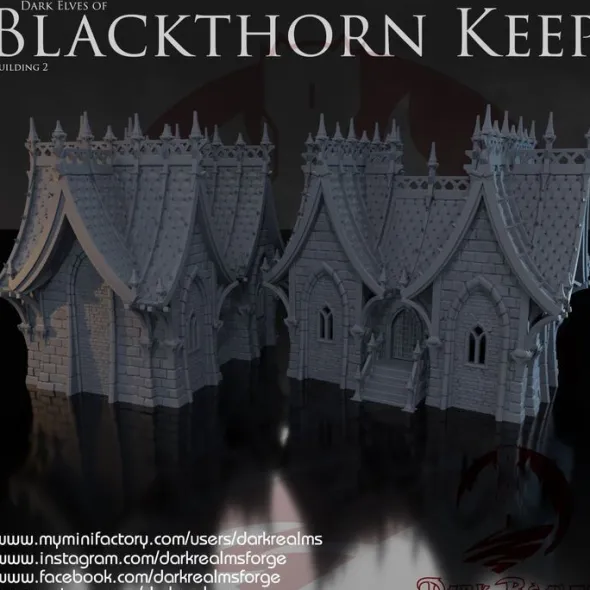 Dark realms - Blackthorn Keep - Maison elfe noir 2