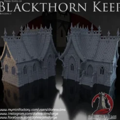 Dark realms - Blackthorn Keep - Maison elfe noir 3