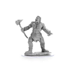 D&D Nolzur's Marvelous Miniatures: Cyclops