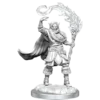 D&D Nolzur's Marvelous Miniatures: Elf Cleric Male
