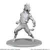 D&D Nolzur's Marvelous Miniatures: Equinal Guardinal