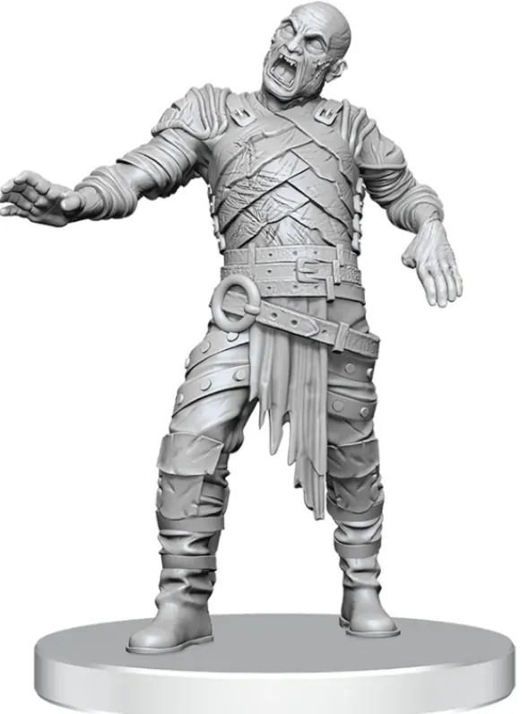 D&D Nolzur's Marvelous Miniatures: Swarm of Rot Grubs & Rot Grub Victim