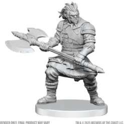 D&D Nolzur's Marvelous Miniatures: Assassin & Berserker