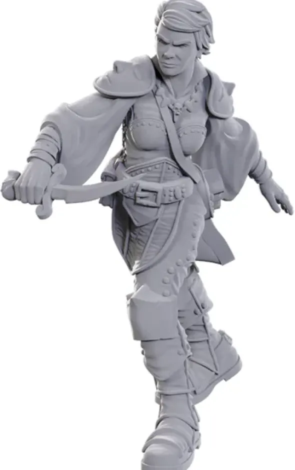 D&D Nolzur's Marvelous Miniatures: Swashbuckler