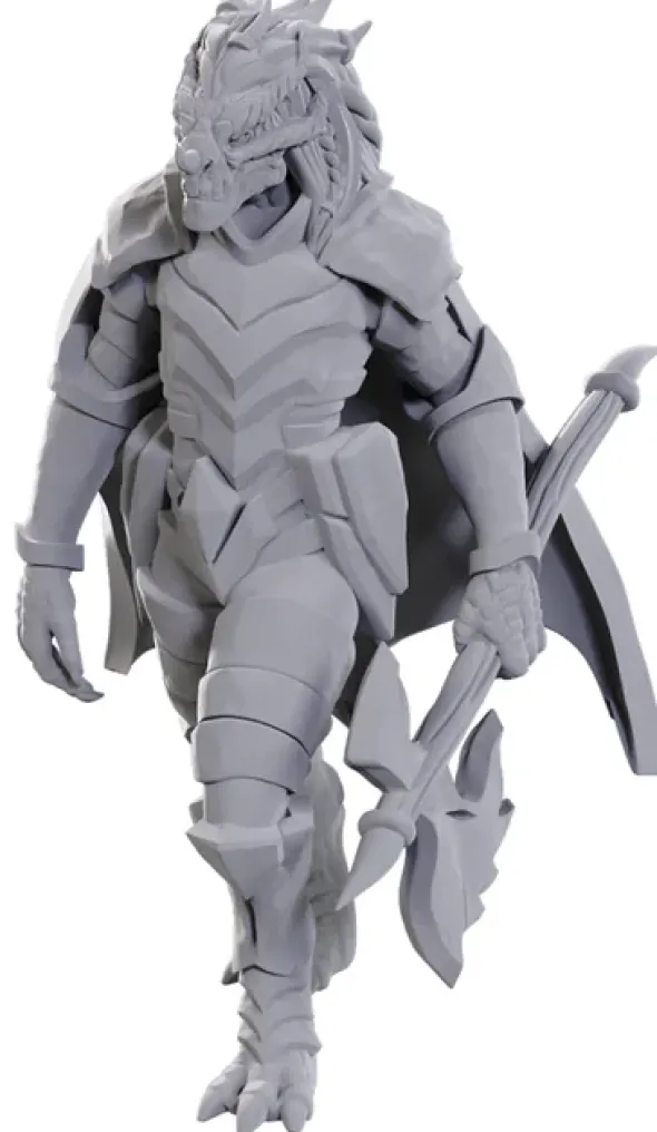 D&D Nolzur's Marvelous Miniatures: Dragonborn of Tiamat