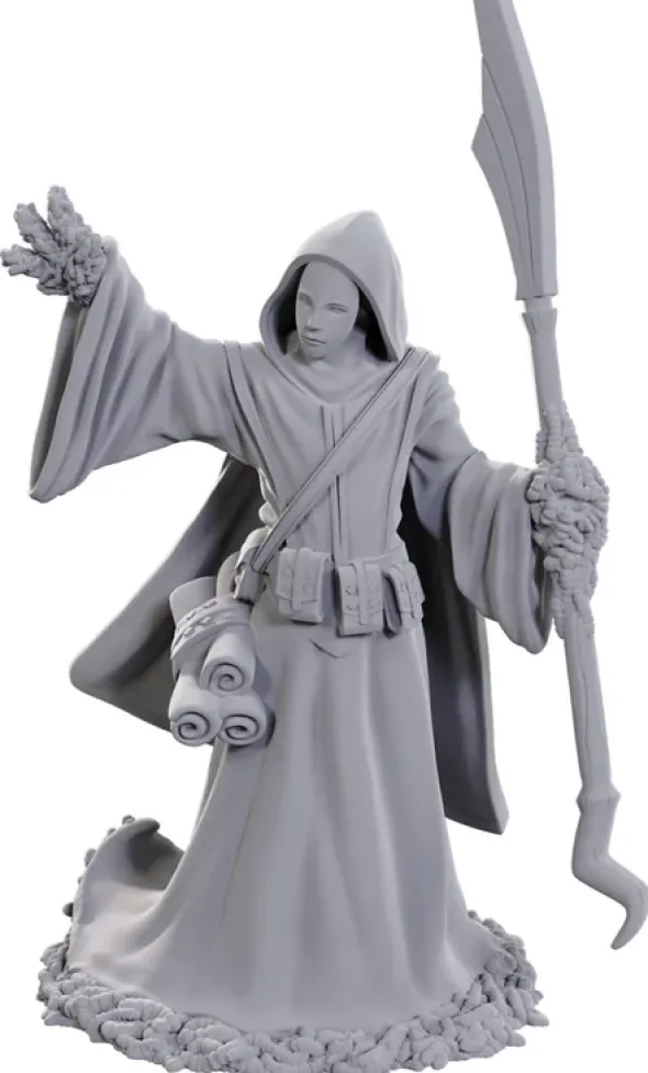 D&D Nolzur's Marvelous Miniatures: Star Spawn Larva Mage