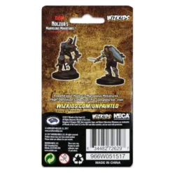 D&D Nolzur's Marvelous Unpainted Miniatures: Human Male Paladin