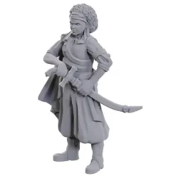 D&D Nolzur's Marvelous Unpainted Miniatures: Ansalon Human Rogue