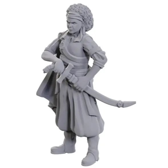 D&D Nolzur's Marvelous Unpainted Miniatures: Ansalon Human Rogue