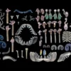 Dead Animal Bits