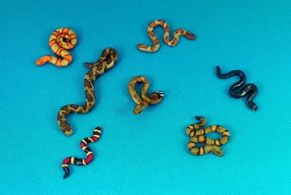Dead Man's Hand - Snakes!
