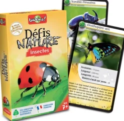 Défis Nature - Insectes