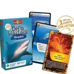 Défis Nature - Requins