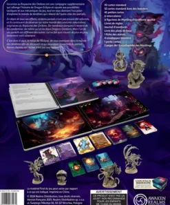 Dragon Eclipse: Incursion au Royaume des Ombres (avec Figurines)