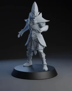 Equipe de Hauts Elfes - Elven Nobles