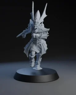 Equipe de Hauts Elfes - Elven Nobles