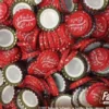 Fallout: Wasteland Warfare - Nuka Cola Caps Set