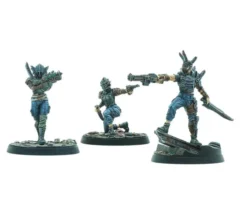 Fallout: Wasteland Warfare - Raiders - Disciples Leaders