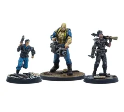 Fallout: Wasteland Warfare - Survivors: Capital Companions
