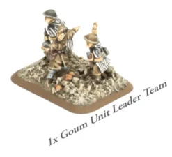 Flames of War - Liberation of Italy - Compagnie De Tirailleurs Rifle Company (Limited Edition)
