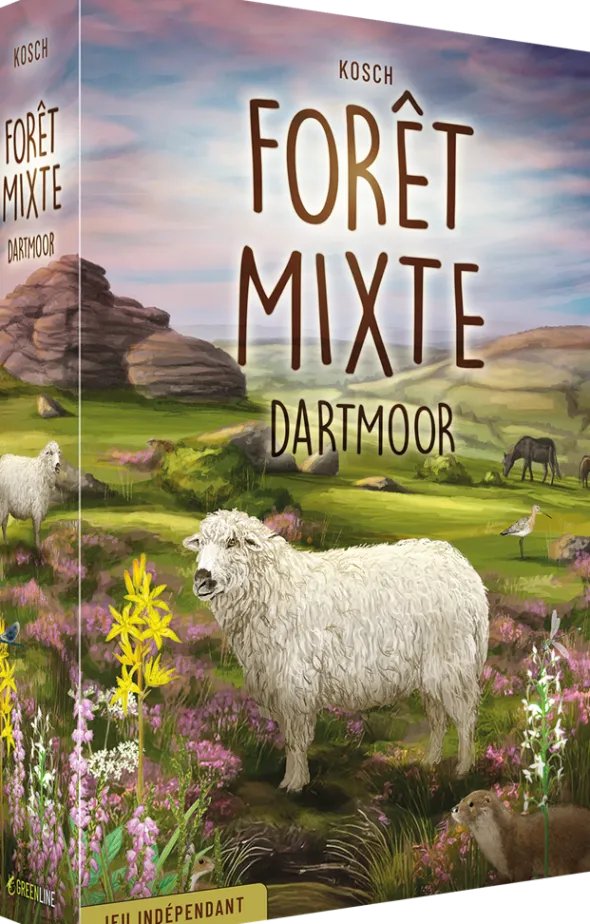 Forêt Mixte : Dartmoor