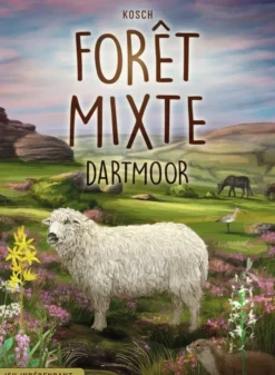 Forêt Mixte : Dartmoor